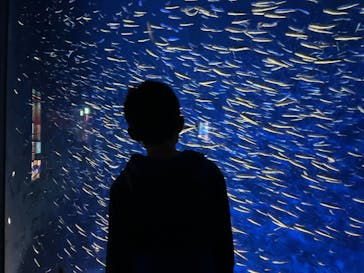 大分マリーンパレス水族館 「うみたまご」に投稿された画像（2022/11/19）