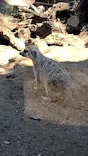 よこはま動物園ズーラシアに投稿された画像（2022/11/19）