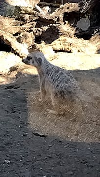 よこはま動物園ズーラシアに投稿された画像（2022/11/19）