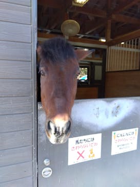 よこはま動物園ズーラシアに投稿された画像（2022/11/19）
