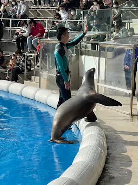 仙台うみの杜水族館に投稿された画像（2022/11/19）