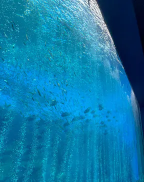 仙台うみの杜水族館に投稿された画像（2022/11/19）