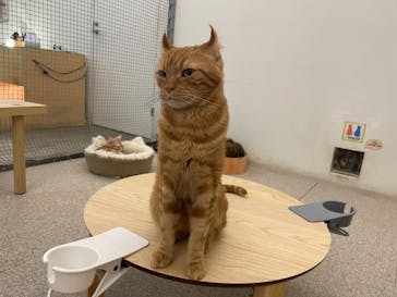 Moff アニマル カフェ イーアス 高尾店に投稿された画像（2022/11/19）