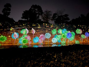 NAKED FLOWERS 2022 秋 世界遺産・二条城に投稿された画像（2022/11/19）