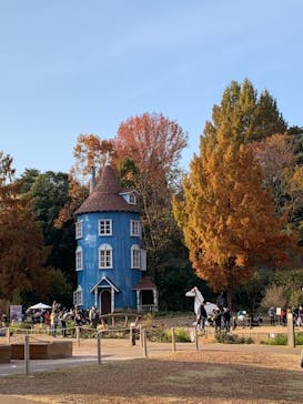 ムーミンバレーパークに投稿された画像（2022/11/19）