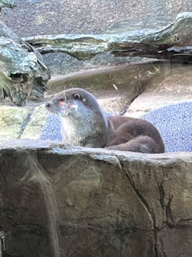 那須どうぶつ王国に投稿された画像（2022/11/19）