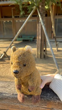 那須どうぶつ王国に投稿された画像（2022/11/19）