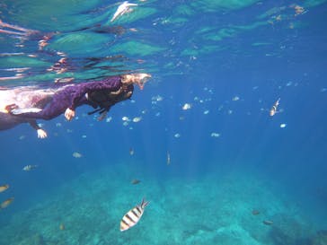 DIVING-SHOP SUNSに投稿された画像（2022/11/19）