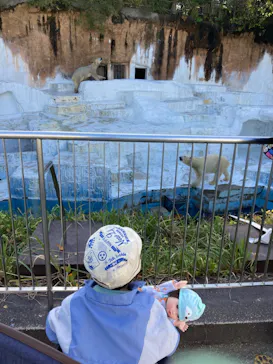 天王寺動物園に投稿された画像（2022/11/19）