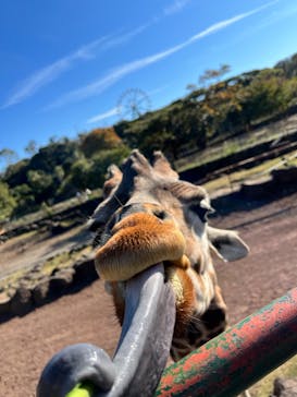 伊豆アニマルキングダムに投稿された画像（2022/11/19）