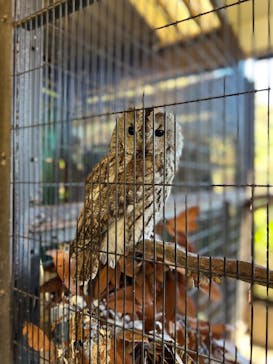 伊豆アニマルキングダムに投稿された画像（2022/11/19）