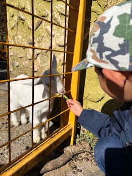 伊豆アニマルキングダムに投稿された画像（2022/11/19）