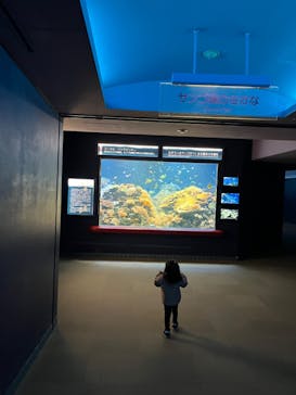 株式会社Gに投稿された画像（2022/11/19）