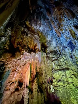 あぶくま洞に投稿された画像（2022/11/19）