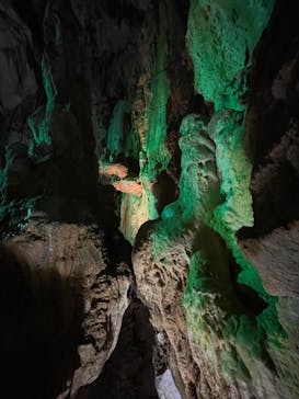 あぶくま洞に投稿された画像（2022/11/19）