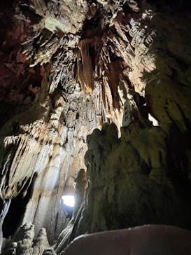 あぶくま洞に投稿された画像（2022/11/19）