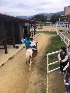 ワールド牧場に投稿された画像（2022/11/19）