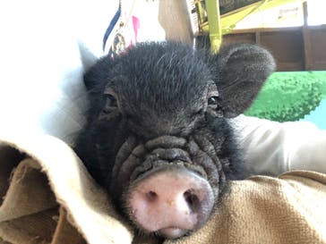 ワールド牧場に投稿された画像（2022/11/19）