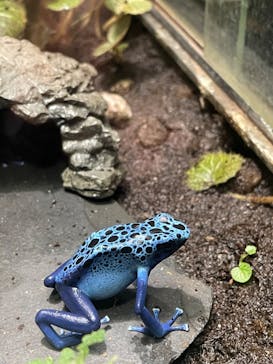 サンシャイン水族館に投稿された画像（2022/11/19）