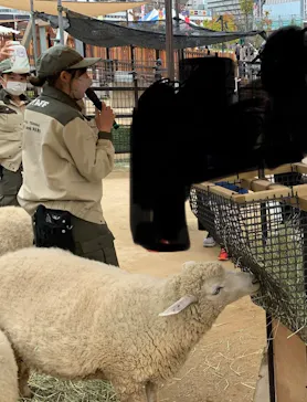 天王寺動物園に投稿された画像（2022/11/19）