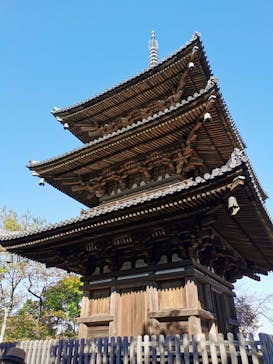 三溪園に投稿された画像（2022/11/19）