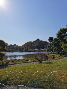 三溪園に投稿された画像（2022/11/19）