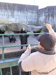 奥飛騨クマ牧場に投稿された画像（2022/11/19）