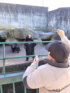 奥飛騨クマ牧場に投稿された画像（2022/11/19）