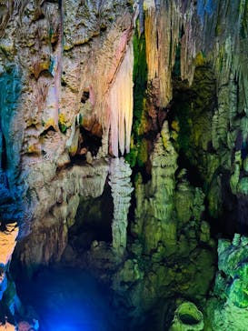 あぶくま洞に投稿された画像（2022/11/19）