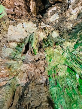 あぶくま洞に投稿された画像（2022/11/19）