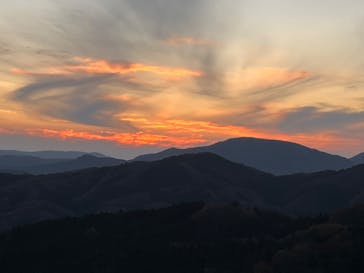 あぶくま洞に投稿された画像（2022/11/19）