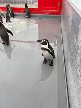 南知多ビーチランド＆南知多おもちゃ王国に投稿された画像（2022/11/19）