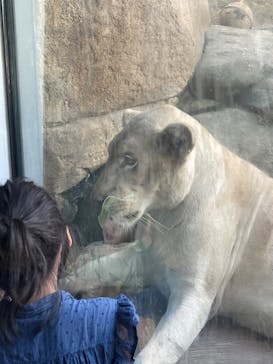 沖縄こどもの国に投稿された画像（2022/11/19）
