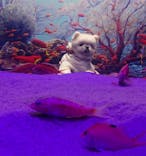 伊豆・三津シーパラダイスに投稿された画像（2022/11/19）