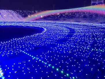 東京メガイルミに投稿された画像（2022/11/19）