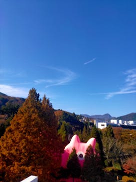 彫刻の森美術館に投稿された画像（2022/11/19）