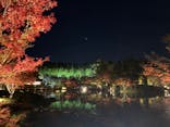 国営昭和記念公園 秋の夜散歩に投稿された画像（2022/11/19）