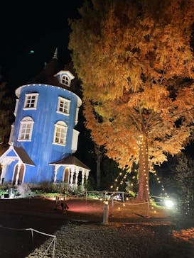 ムーミンバレーパークに投稿された画像（2022/11/19）