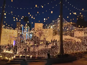 ひらかたパークに投稿された画像（2022/11/19）