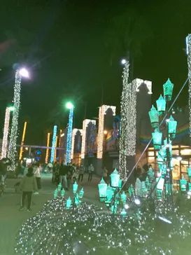 ひらかたパークに投稿された画像（2022/11/19）