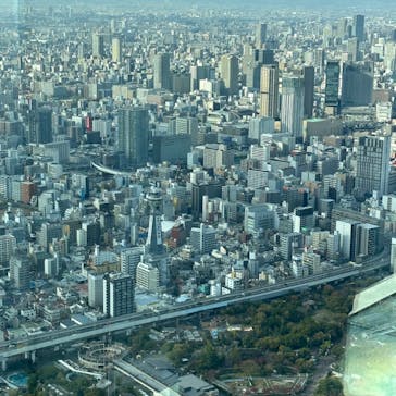 ハルカス300(展望台)に投稿された画像（2022/11/19）