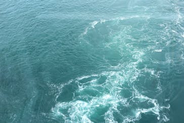 徳島県立 渦の道に投稿された画像（2022/11/19）