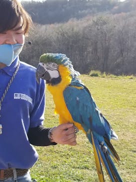 那須どうぶつ王国に投稿された画像（2022/11/19）