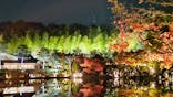 国営昭和記念公園 秋の夜散歩に投稿された画像（2022/11/19）