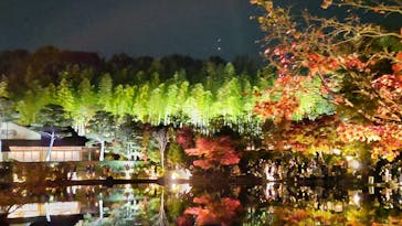 国営昭和記念公園 秋の夜散歩に投稿された画像（2022/11/19）