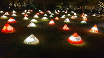 国営昭和記念公園 秋の夜散歩に投稿された画像（2022/11/19）