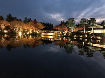 国営昭和記念公園 秋の夜散歩に投稿された画像（2022/11/19）