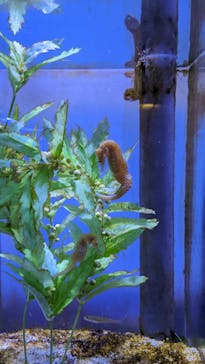 ゼロ距離水族館 伊勢シーパラダイスに投稿された画像（2022/11/19）