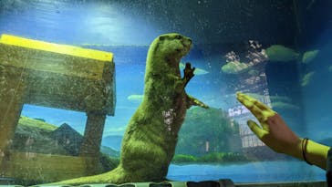 ゼロ距離水族館 伊勢シーパラダイスに投稿された画像（2022/11/19）