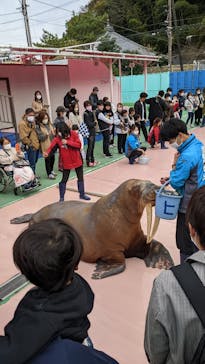 ゼロ距離水族館 伊勢シーパラダイスに投稿された画像（2022/11/19）